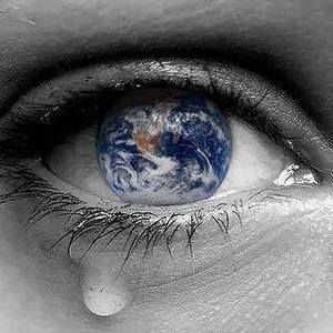 Meet your Posher, Phyllis